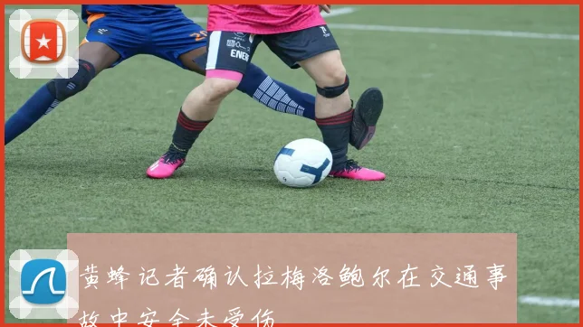 黄蜂记者确认拉梅洛鲍尔在交通事故中安全未受伤