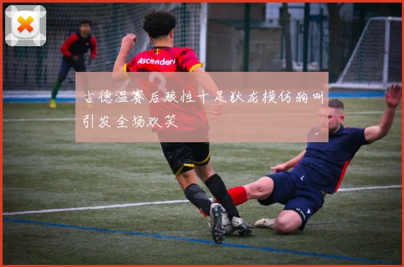 古德温赛后狼性十足狄龙模仿狗叫引发全场欢笑