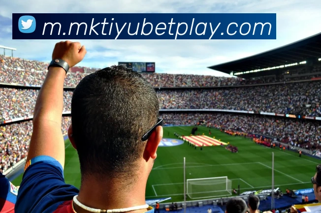 MK体育APP 封面图